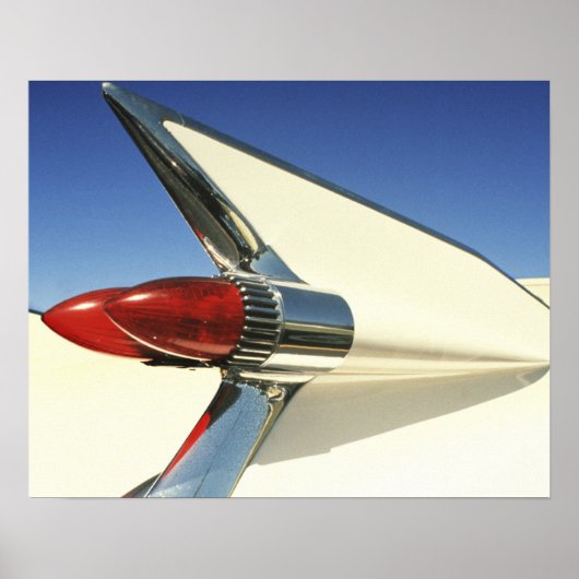 Poster Graphique : Gros plan de la nageoire et du feu arr (Devant)