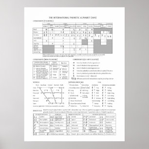 Poster Graphique IPA