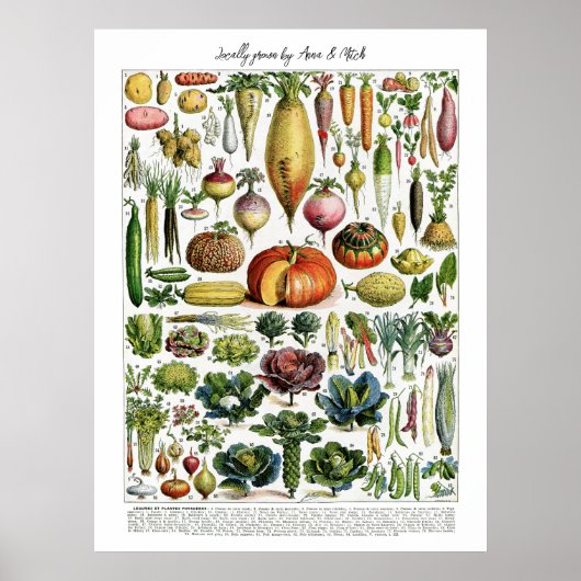 Poster Graphique Légumes Vintages français cultivés local (Devant)