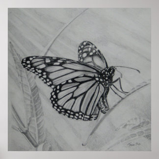Poster Graphique Monarch Butterfly