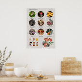 Poster Graphique Photos et illustrations de champignons c (Cuisine)