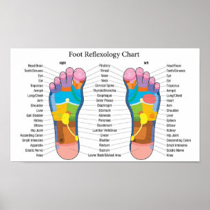Poster Graphique Réflexologie des pieds