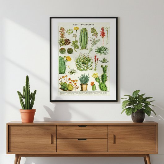 Poster Graphique scientifique des cactus succulents