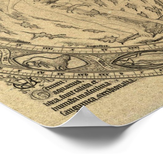 Poster Graphique vintage d'atrologie du zodiaque (Coin)