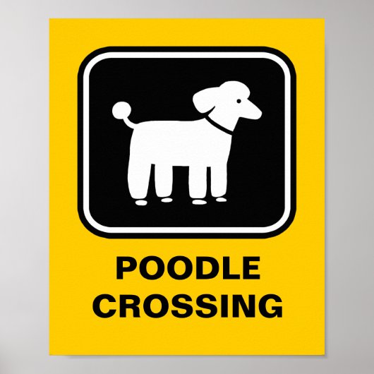 Poster Graphisme Caniche (Blanc sur Noir) (Devant)