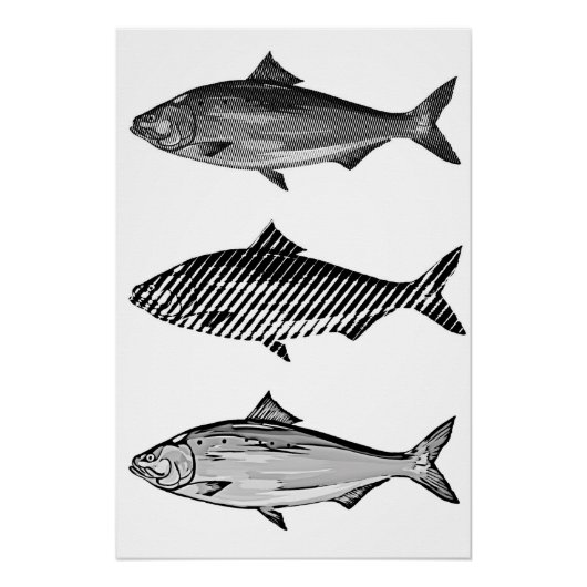Poster Graphisme de poisson noir et blanc (Devant)