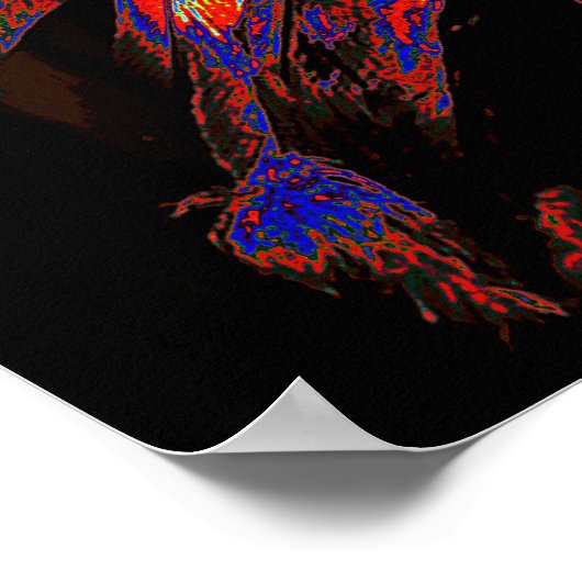 Poster Graphisme en chef indien américain (Coin)