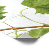 Poster Graphisme Vignoble Ile grecque Mariage Carte de si (Coin)