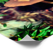 Poster Grappe de champignons Brown sauvages (Coin)