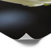 Poster Grappe de fleurs bleues (Coin)