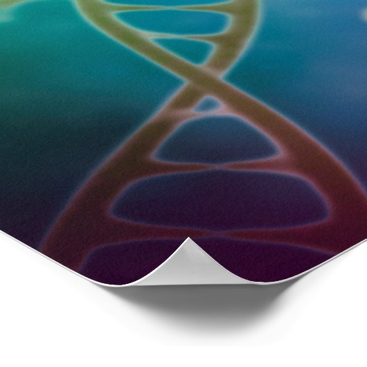 Poster Grappe De Strands D'ADN (Coin)