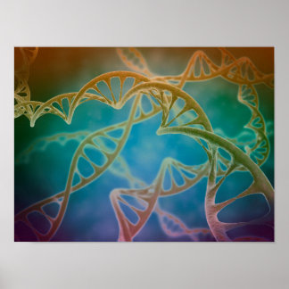 Poster Grappe De Strands D'ADN