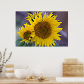 Poster Grappe florale Tournesols photo de fond (Cuisine)