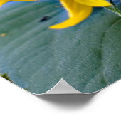 Poster Grappe florale Tournesols photo de fond (Coin)