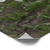 Poster Grappes de Fleurs (Coin)