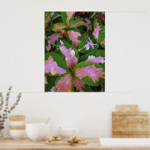 Poster Graptophyllum Pictum Rosea Variegata (Cuisine)
