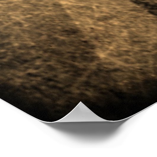 Poster Gras Palm Tree (Coin)