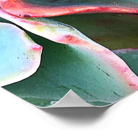 Poster Gras Vert Cactus Succulent Photo de beauté Script (Coin)