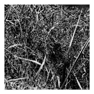 Poster Grass Alien noir
