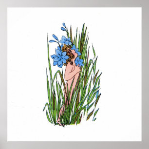 Poster Grass bleu