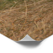 Poster Grass de Runs (Coin)