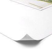 Poster Grass et bâtard bleu pointu (Coin)