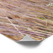 Poster Grass et Fleurs sauvages violets (Coin)