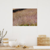 Poster Grass et Fleurs sauvages violets (Cuisine)