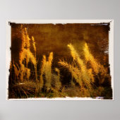 Poster Grasses d'automne (Devant)