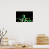 Poster Grasshopper à tête de cône (Cuisine)