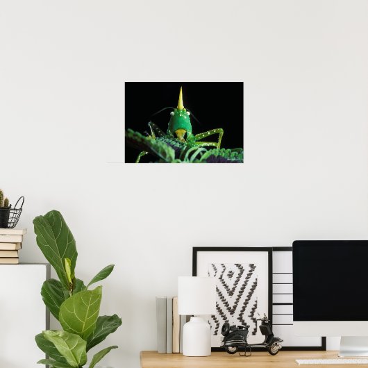 Poster Grasshopper à tête de cône (Bureau à domicile)