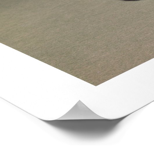 Poster Grasshopper de Chapultepec, Mexique, c.1500 (carn (Coin)