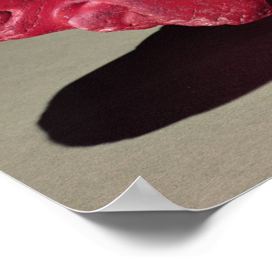 Poster Grasshopper de Chapultepec, Mexique, c.1500 (carn (Coin)