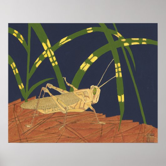 Poster Grasshopper en Grass vert sur Arrière - plan bleu (Devant)