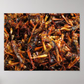 Poster Grasshopper frit (Takkataen Thot) Alimentation asi (Devant)