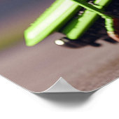 Poster Grasshopper mécanique (Coin)