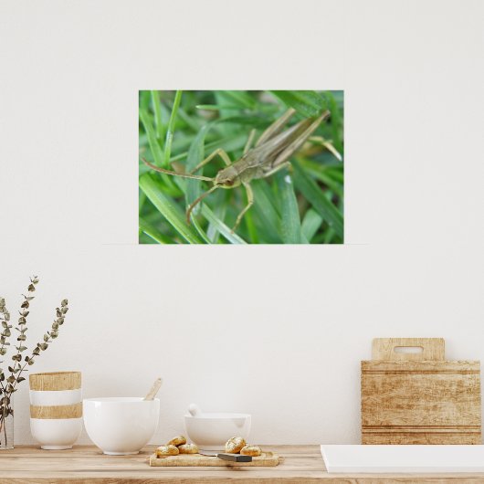 Poster Grasshopper Print (Cuisine)