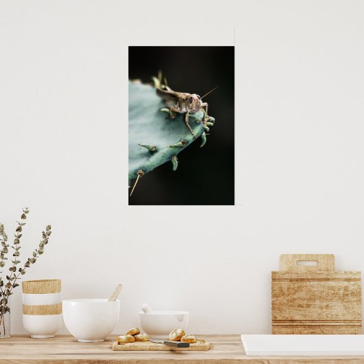 Poster Grasshopper sur Cactus (Cuisine)