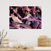 Poster - Grasshopper vert en Plante violet (Cuisine)