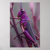 Poster Grasshopper violet (Devant)