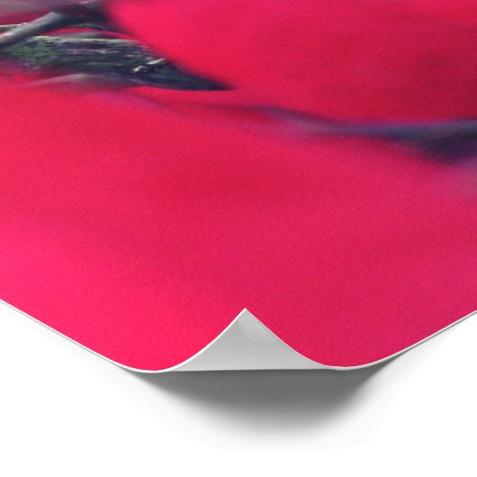 Poster Gratitude (Coin)