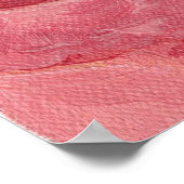 Poster Gratitude Rose (Coin)