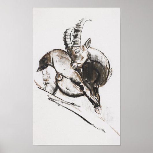 Poster Grattarsi (Devant)