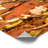 Poster Gratte d'amorçage Beacon Hill (Coin)