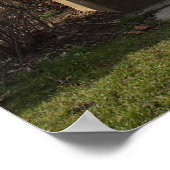 Poster Grave De Johannes Brahms (Coin)