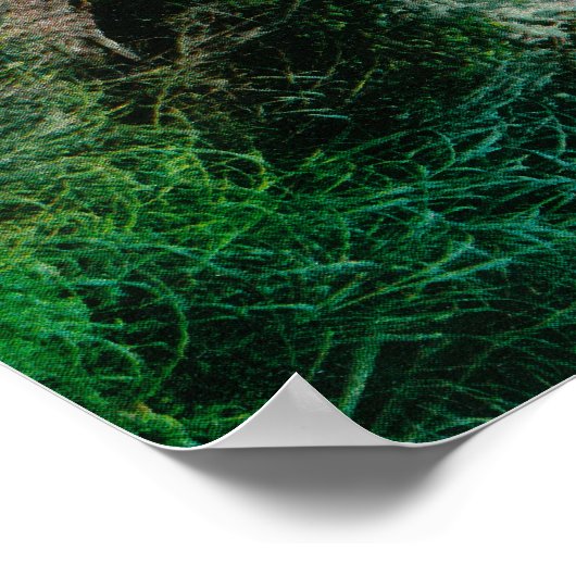 Poster Graves et totems indiens dans l'État de l'Alaska (Coin)