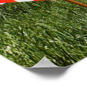 Poster Graves habillées avec des drapeaux du jour commémo (Coin)