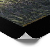 Poster Graves radio (Coin)