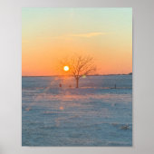 Poster Graves Sunny (Devant)