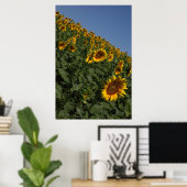 Poster Gravité (Bureau à domicile)